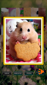 Hamster Pet Puzzles Mod APK (ADS Free)